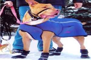 NEO-PAWS™