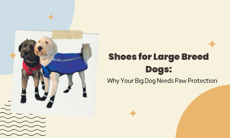 Shoes for Large Breed Dogs