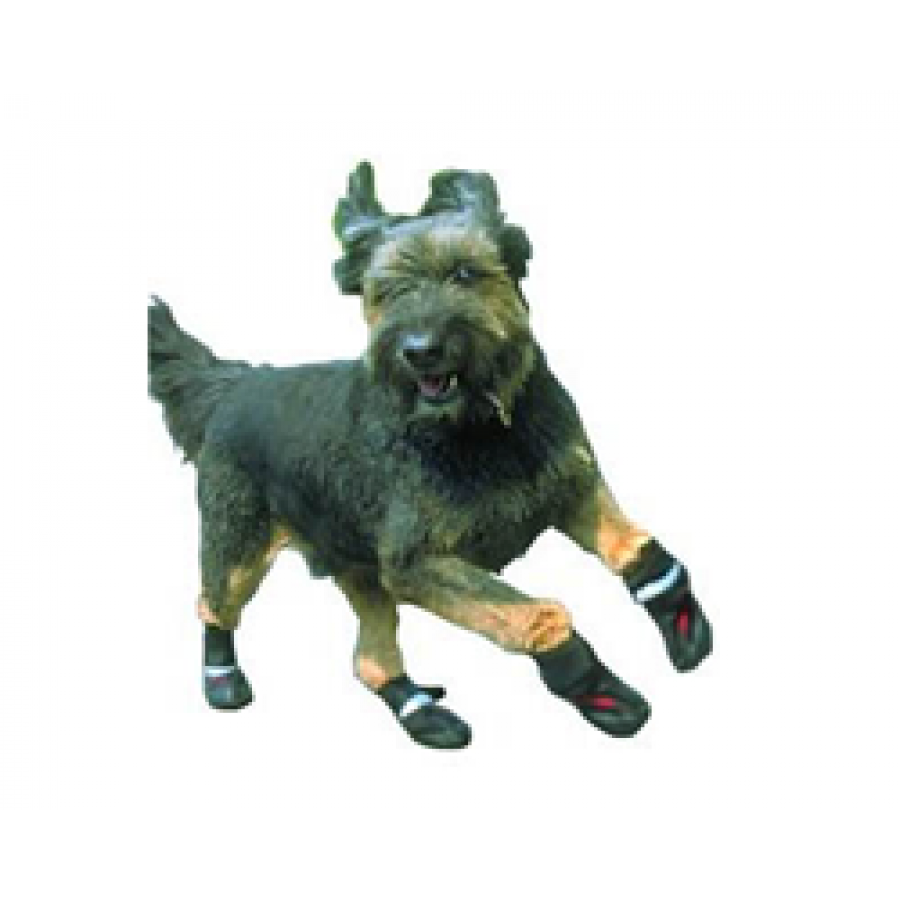 ORTHOPAEDIC SHOES / BOOTS For Dogs M , XL+, XXL Online